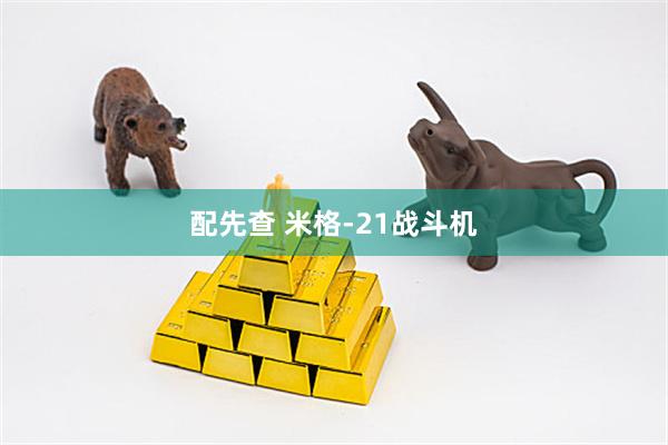 配先查 米格-21战斗机