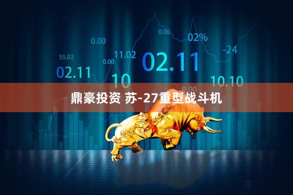 鼎豪投资 苏-27重型战斗机